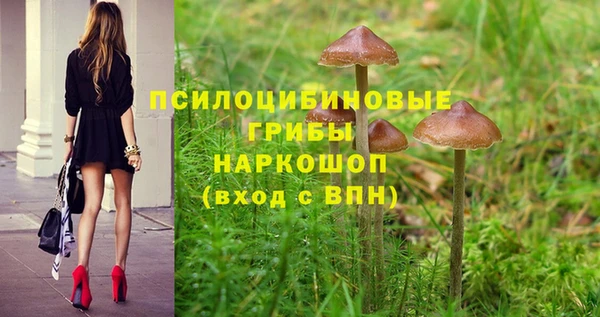 ECSTASY Семикаракорск