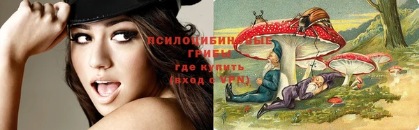 мяу мяу мука Арсеньев