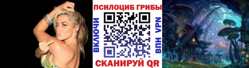 Псилоцибиновые грибы мицелий Малоярославец